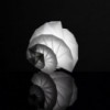 Lámpara de sobremesa Mendori Artemide. Tienda online lámparas modernas.