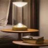 Lámpara moderna y delicada de centro de mesa Eva o EVE de Foster+Partners y Lumina.