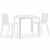 Silla Snow 300 de Pedrali. Sillas de diseño. Sillas de exteriore. Sillas de jardín.