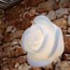 Aplique Baby Love de Myyour. Iluminación moderna ideal para exteriores.