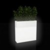 Macetero Wall Light con Luces Led con Mando a Distancia y Autorriego