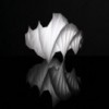 Lámpara de sobremesa Mendori Artemide. Tienda online lámparas modernas.