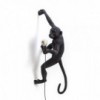 Aplique pared Monkey outdoor brazo derecho en color negro.