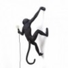 Aplique pared Monkey outdoor brazo derecho en color negro.