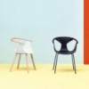 Sillón Fox 3725 de Pedrali. Sillones modernos de polipropileno para salón.