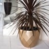 Macetero Vases con Sistema de Autorriego y Acabado en Mate | Lluesma