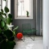 Trotter: Verde 5277 C