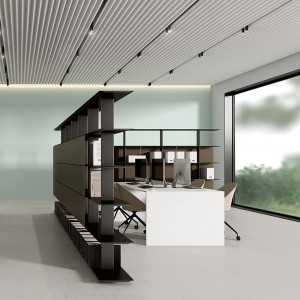 Estantería de diseño Wing pie de Systemtronic. Muebles para oficina.
