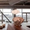 Lámpara de cocoon en suspensión Viscontea de Flos Iluminación. Lámparas innovadoras.