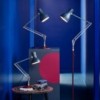 Lámpara escritorio Type 75 Mini Paul Smith. Anglepoise
