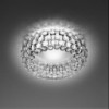 Caboche: Transparente