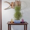 Lámpara sobremesa Lantern de Kartell transparente ideal para exteriores.