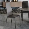 Silla Norma Alta  de Cattelan Italia. Sillas diseño. Sillas modernas.
