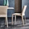 Silla Penelope de Cattelan Italia. Sillas modernas