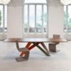 Silla Venere de Bonaldo. Sillas modernas. Mobiliario de diseño italiano.