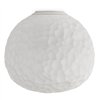 Meteorite 48 Ceiling