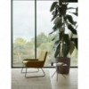 Silla Coco de Softline. Sillas modernas para comedor. Muebles de diseño.