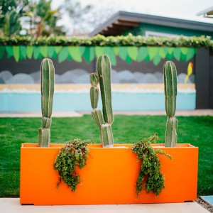 Macetero Mondo Skinny de Loll Designs. Productos hechos con material reciclado.
