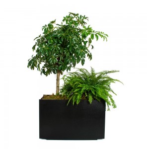 Macetero Mondo de Loll Designs. Productos hechos con material reciclado.