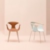 Sillón Fox 3726 de Pedrali. Sillones modernos para hogar y contract.
