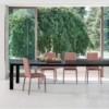 Silla Malik Flex de Bontempi. Sillas y butacas de comedor de diseño contemporáneo.