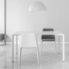 Silla Laja 880 de Pedrali. Sillas de diseño. Sillas tapizadas modernas.