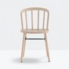 Silla Nym 2830 de Pedrali. Sillas de diseño. Sillas de madera modernas.
