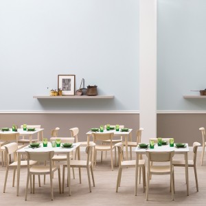 Silla Tivoli 2800 de Pedrali. Sillas de diseño. Sillas modernas de madera.