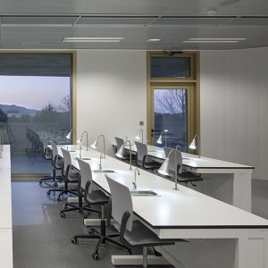 Silla oficina Eina en Polipropileno de Enea. Sillas de diseño moderno.