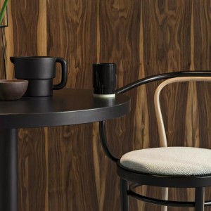 Sillón Wiener Bicolor de GTV Thonet Vienna. Sillones para salón y comedor.
