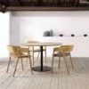 Sillón Mava MAV101/2 Punt. Silla con asiento tapizado. Sillas de diseño.