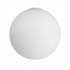 Dioscuri parete/soffitto 42