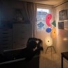 Orbital. Colores