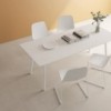 Mesa Maarten rectangular de Viccarbe. Diseño original para comedor o para contract.