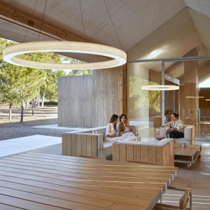 Lámpara de suspensión Oh! Line de LZF. Circulo de Luz diseño de Marivi Calvo & Burkhard Dämmer