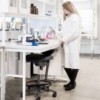 Silla Activ 300 de RH Sillas. Sillas oficina. Sillas de trabajo modernas.