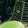 Silla Leaf apilable de Arper. Mobiliario de diseño para hogar y contract.