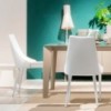Silla Clara Acero de Bontempi. Sillas de comedor de diseño conteporáneo.