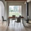 Silla Nata Flex Acero de Bontempi. Sillas de comedor de diseño contemporáneo.