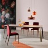 Lámpara suspensión Goldie de Tonin casa. Muebles modernos de hogar.