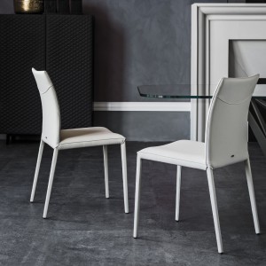 Silla Norma de Cattelan Italia. Sillas diseño. Sillas modernas. Sillas de comedor.