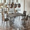 Silla Norma ML de Cattelan Italia. Silla de acero. Sillas de comedor.
