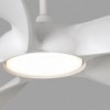 Ventilador Cocos Faro Barcelona
