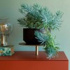 Aparador Ikebana de Mogg. Aparadores modernos e innovadores para salones.