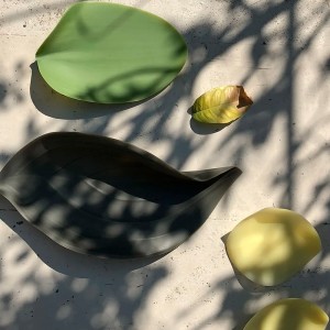 Set 4 Platos Seasons Covo