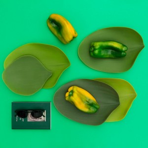 Set 4 Platos Seasons Covo