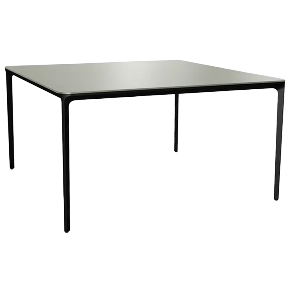 Mesa Slim square Sovet