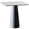 Mesa Totem bar Sovet