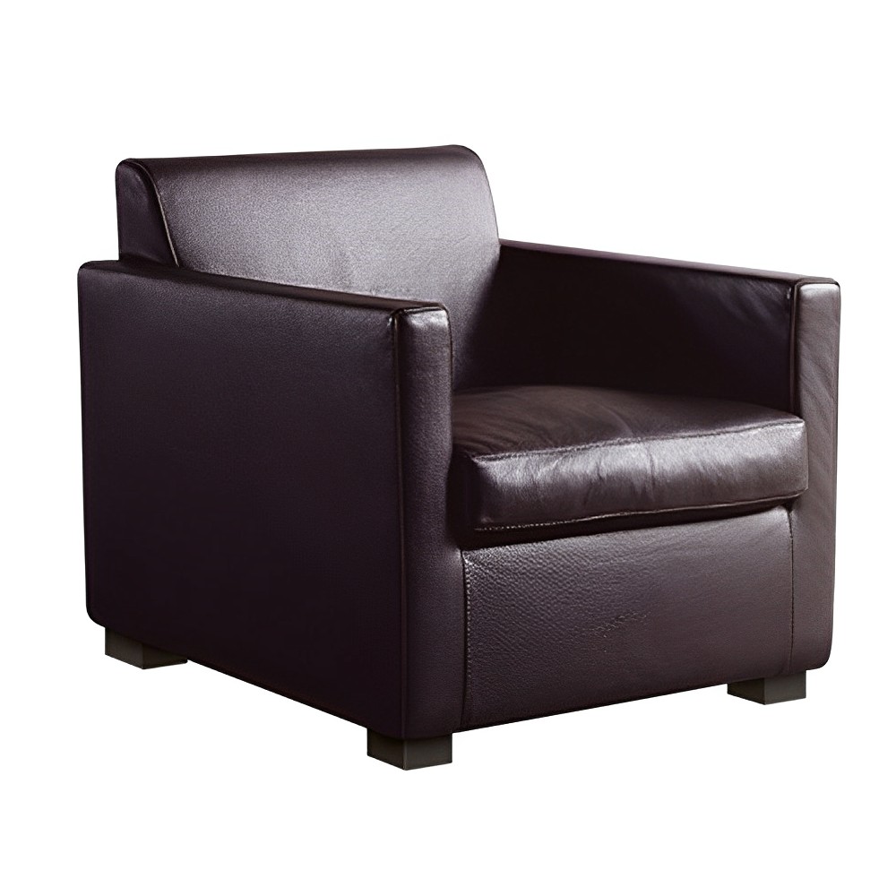 Sillón Serie 3088 Cappellini
