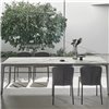 Silla Grace Tapizada Bontempi